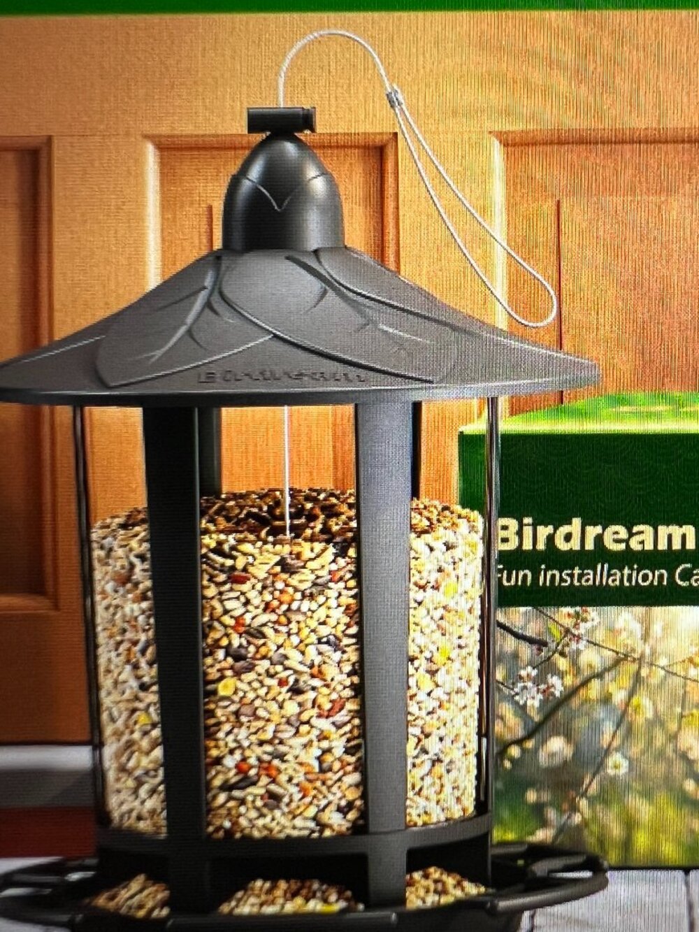 Bird Feeder 2-Pack